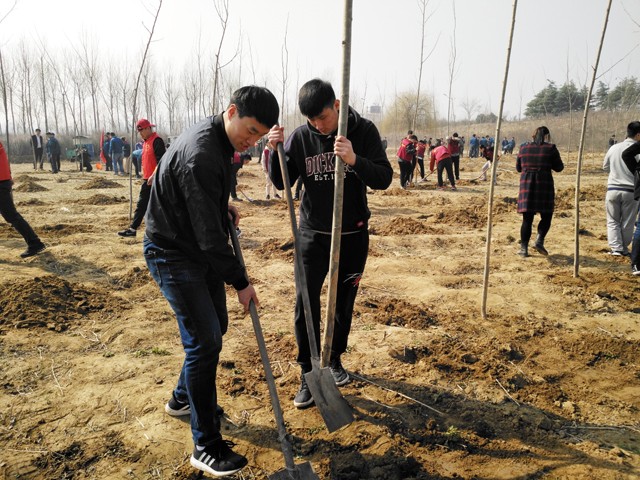 臨沂新華參加義務(wù)植樹活動(dòng) 第 1 張