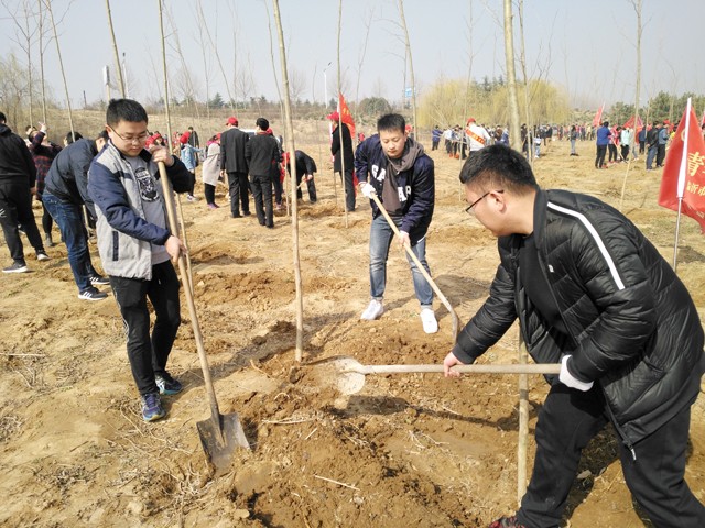 臨沂新華參加義務(wù)植樹活動(dòng) 第 2 張