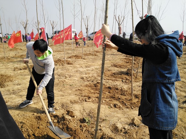 臨沂新華參加義務(wù)植樹活動(dòng) 第 6 張