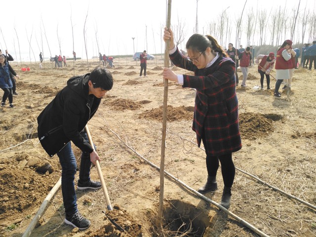 臨沂新華參加義務(wù)植樹活動(dòng) 第 7 張